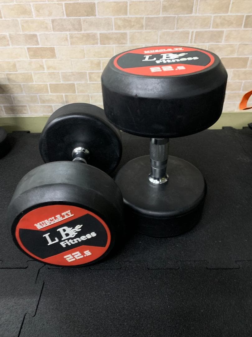 在庫処分特価！LBGYMオリジナル ラバーダンベル 22.5kg × 2個セット