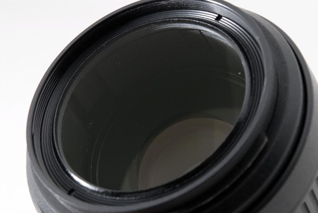 ニコンF SP 70-300mm F/4-5.6 Di VC USD(A005)