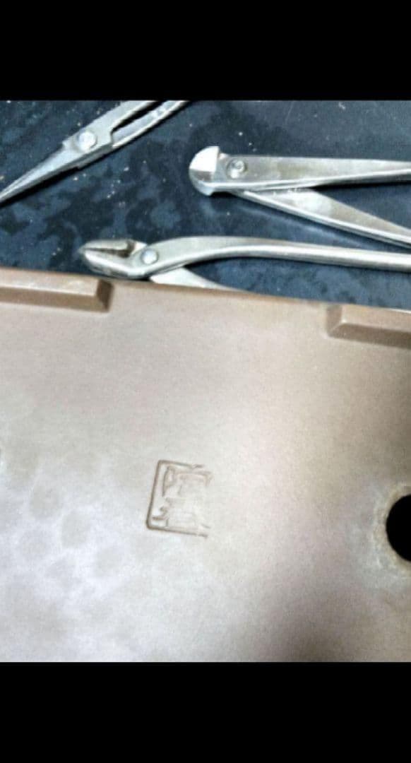 【中品　紀州真柏盆栽】　　　　⭕新春限定ご奉仕品❗