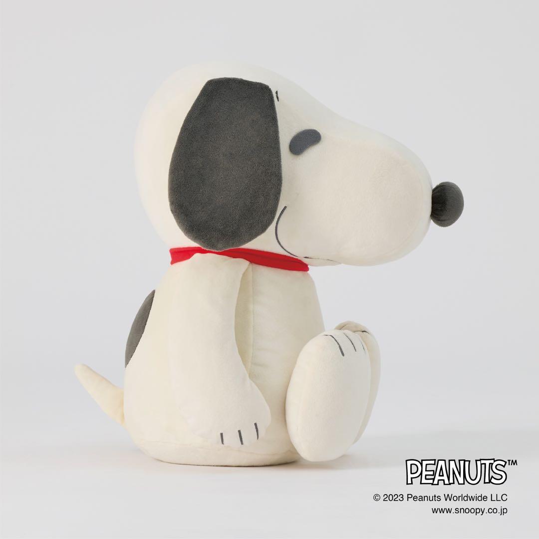 ⭐️新品未使用MIZUNO⭐️コラボ スヌーピー メディシンボール 2kg