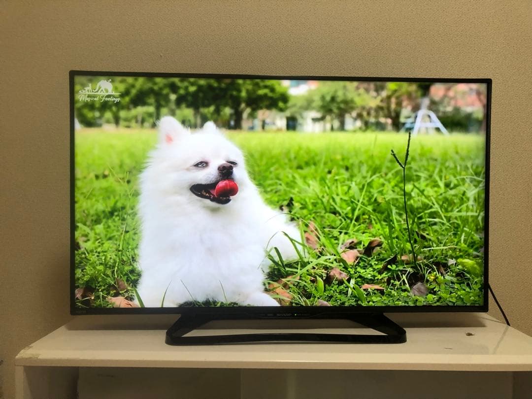 シャープ 40V型液晶テレビ AQUOS LC-40W35 2017年製