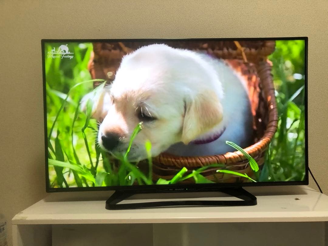 シャープ 40V型液晶テレビ AQUOS LC-40W35 2017年製