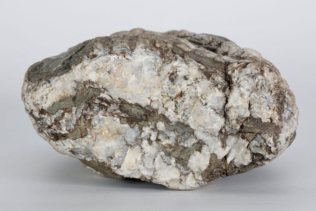 木化石 珪化木 白蛇石 蛇紋石 龍紋石 台座付 4.7kg 天然石 水石 盆石