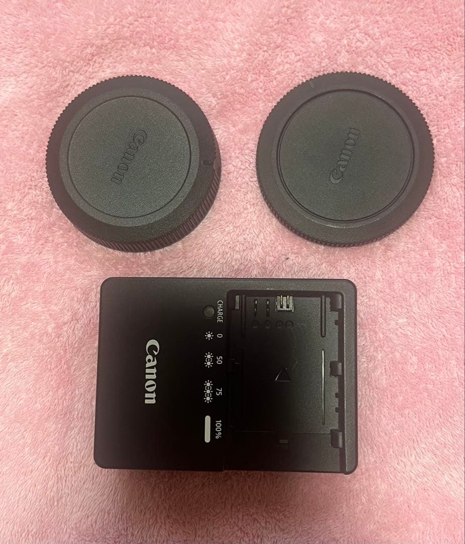 Canon EOS R ミラーレスカメラ