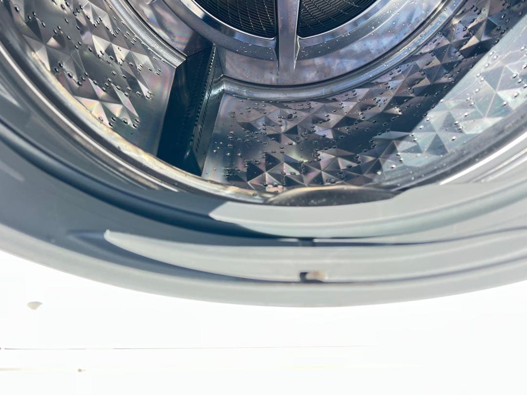 Panasonicドラム式電気洗濯機NA-VG1100R 2016年