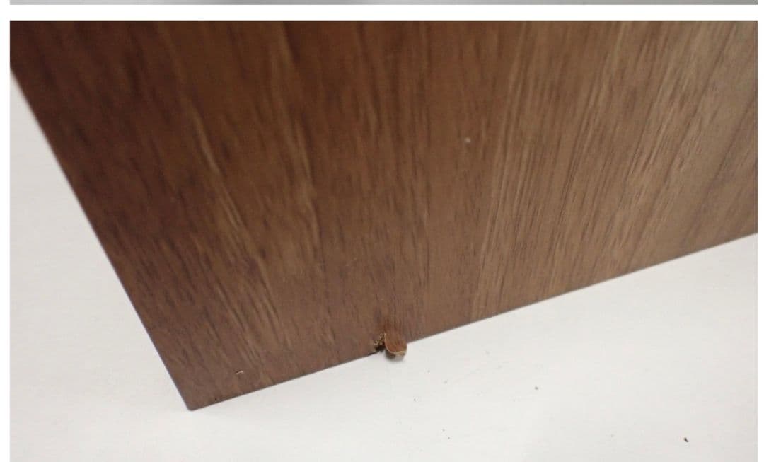 DALI LEKTOR2 スピーカーペア ダリ レクトール2