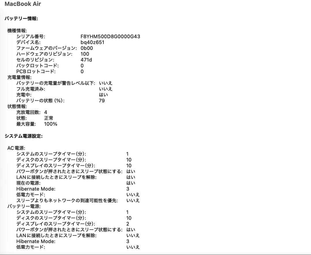 Apple MacBook Air M4 シルバー 256gb 13インチ