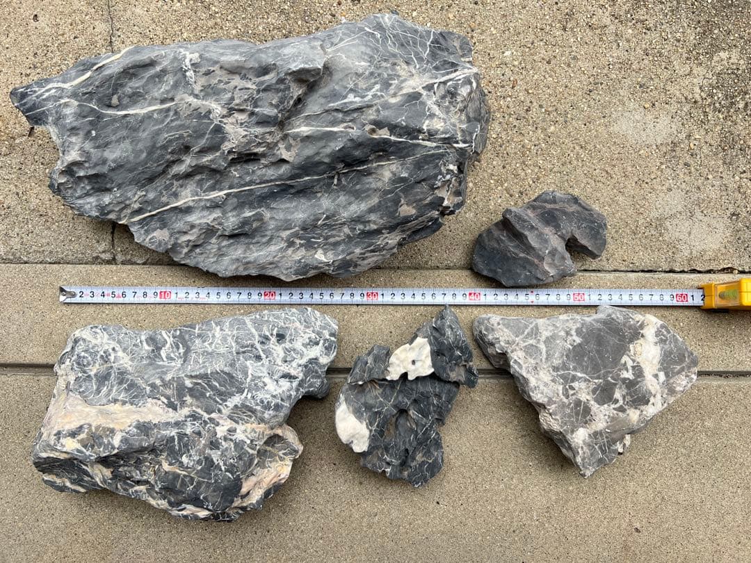 水槽用石 5個セット 竜王石