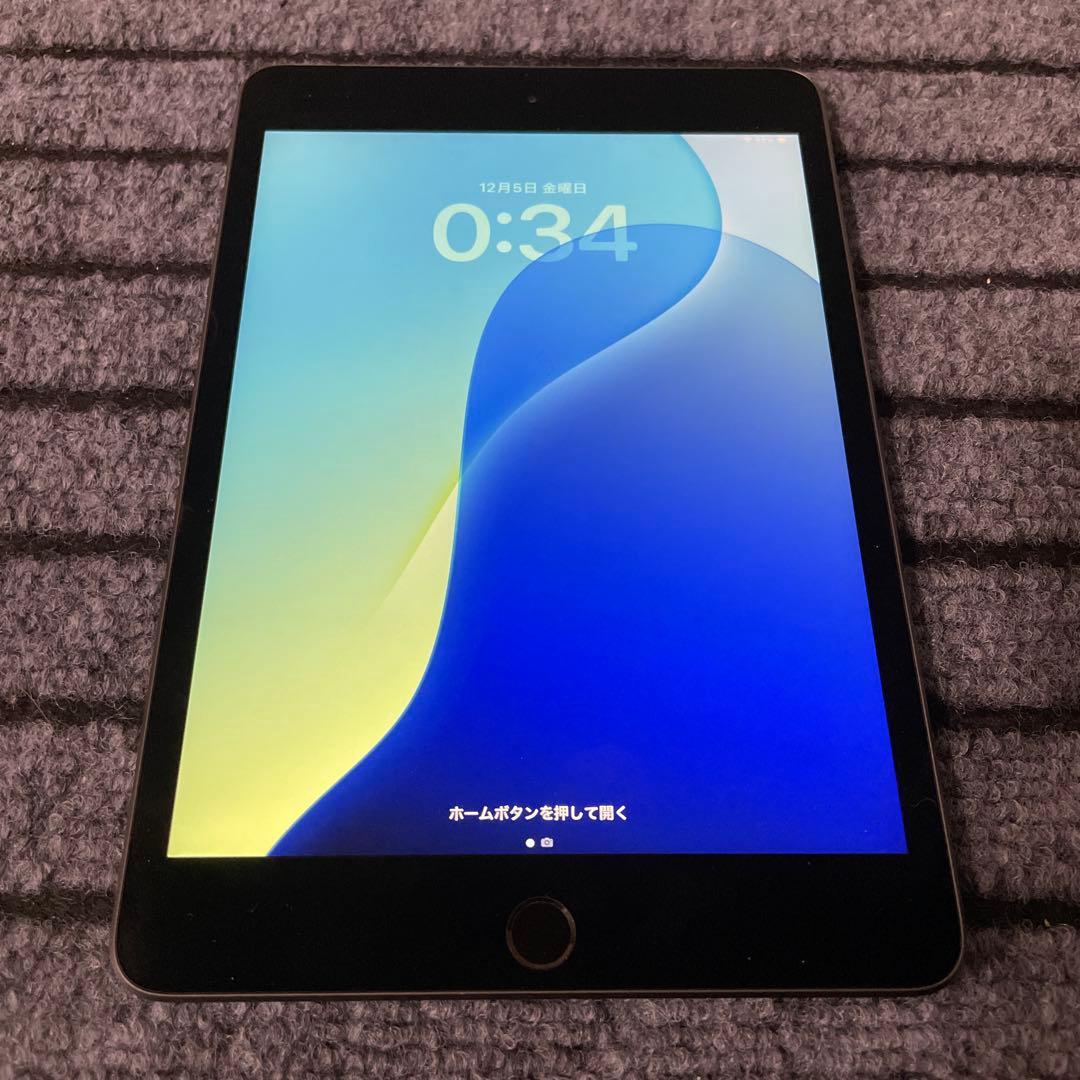 116【早い者勝ち】 iPad mini5 5世代 256GB スペースグレイ