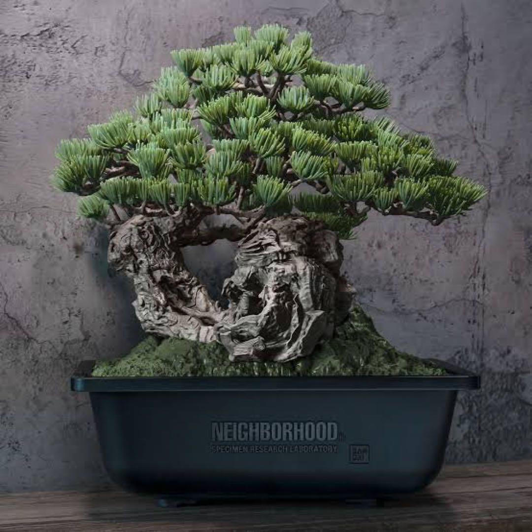 盆栽 Bonsai Model Kit SRL x Bandai Spirits