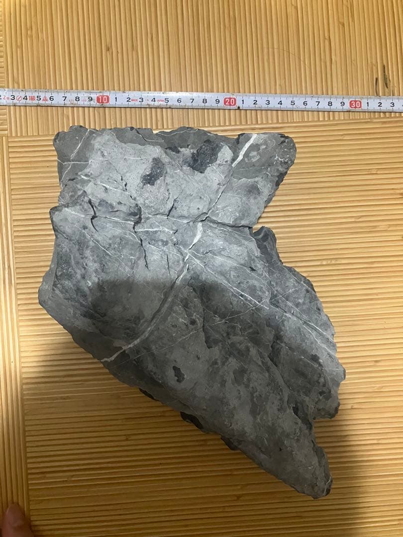 ADA龍王石 親石2つ　副石3つ