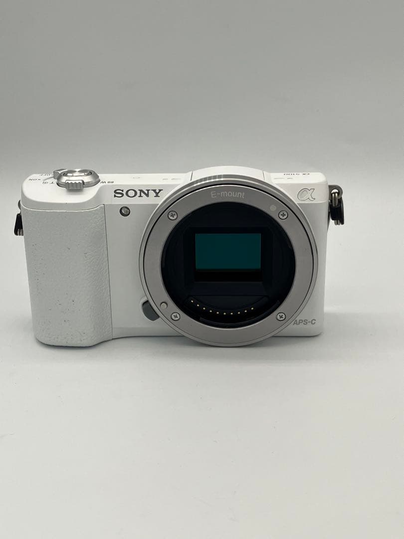 【返品保証・動作確認済】SONY α5100 （E PZ 18-55mm）