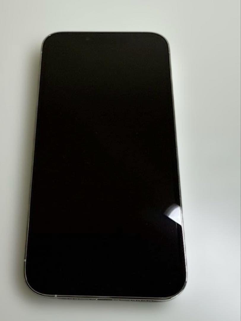 iPhone 13 Pro 256GB シルバー 本体とケース