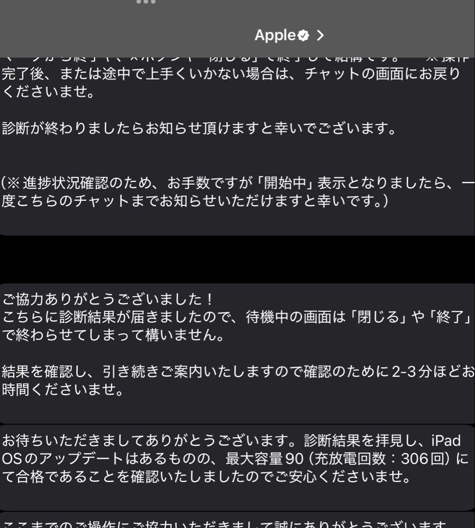 青りんごさん専用　iPad Pro 第4世代256GB 12.9インチ