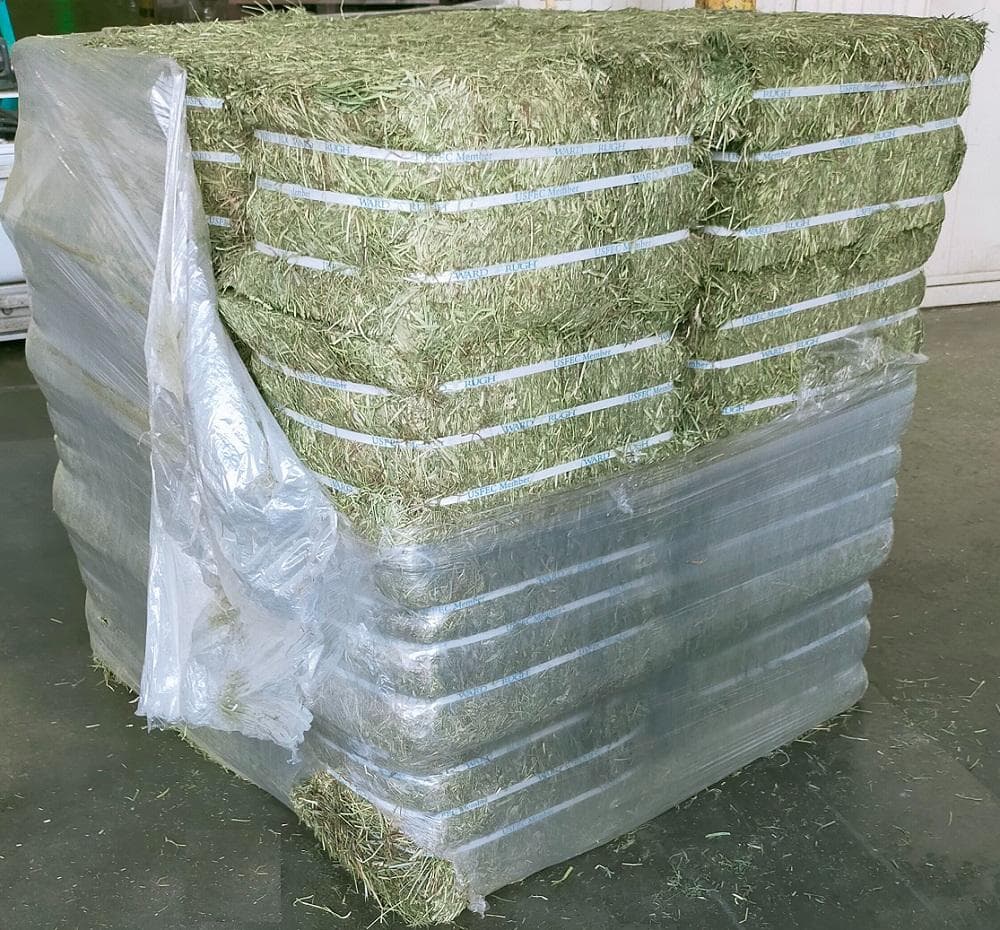 US産 チモシー 40kg ２番刈 ソフトスーパープレミアム