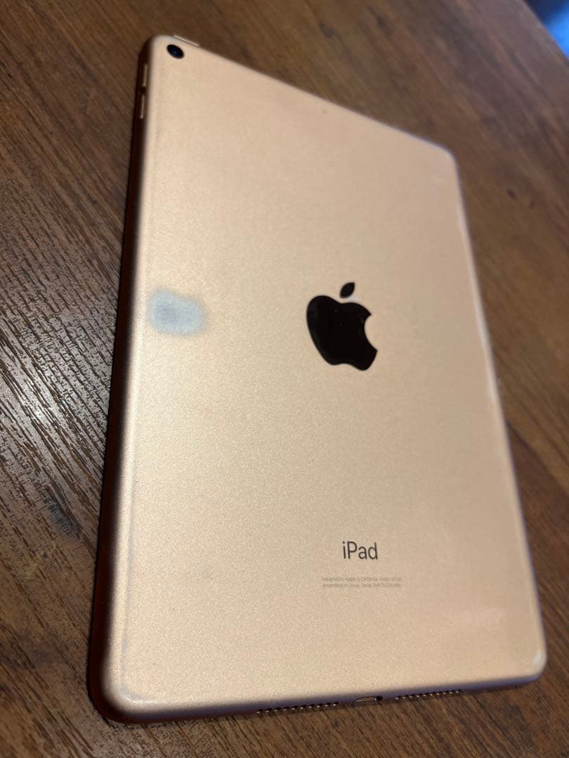 iPad mini 第五世代　バッテリー 89%